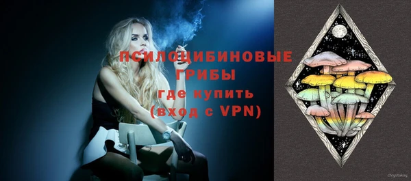 a pvp Инсар