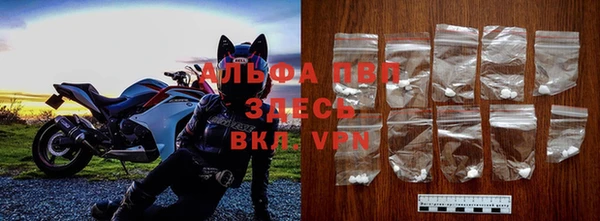 СК Иннополис